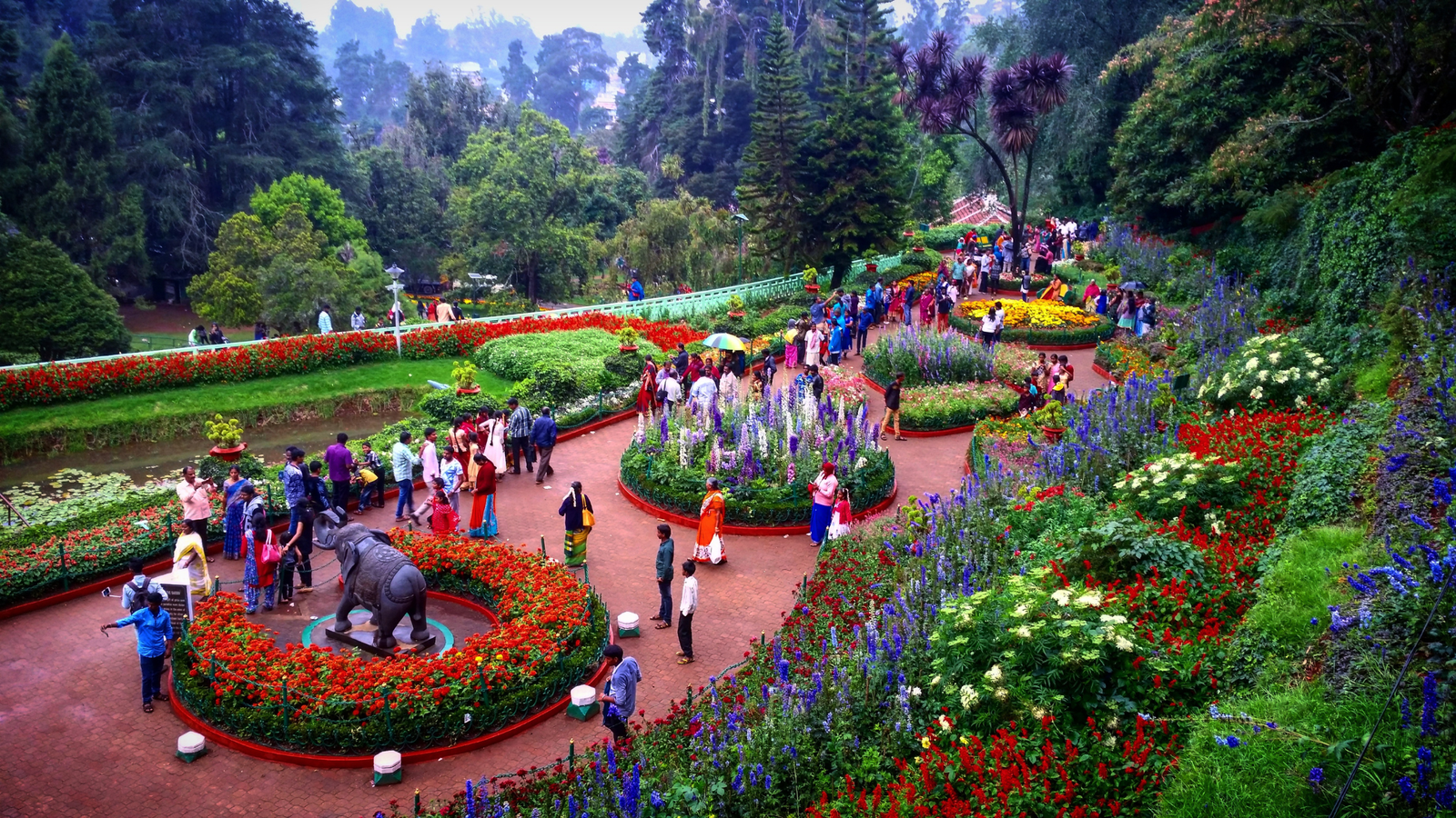 Best Time to Visit Ooty: Weather, Seasons & Travel Tips