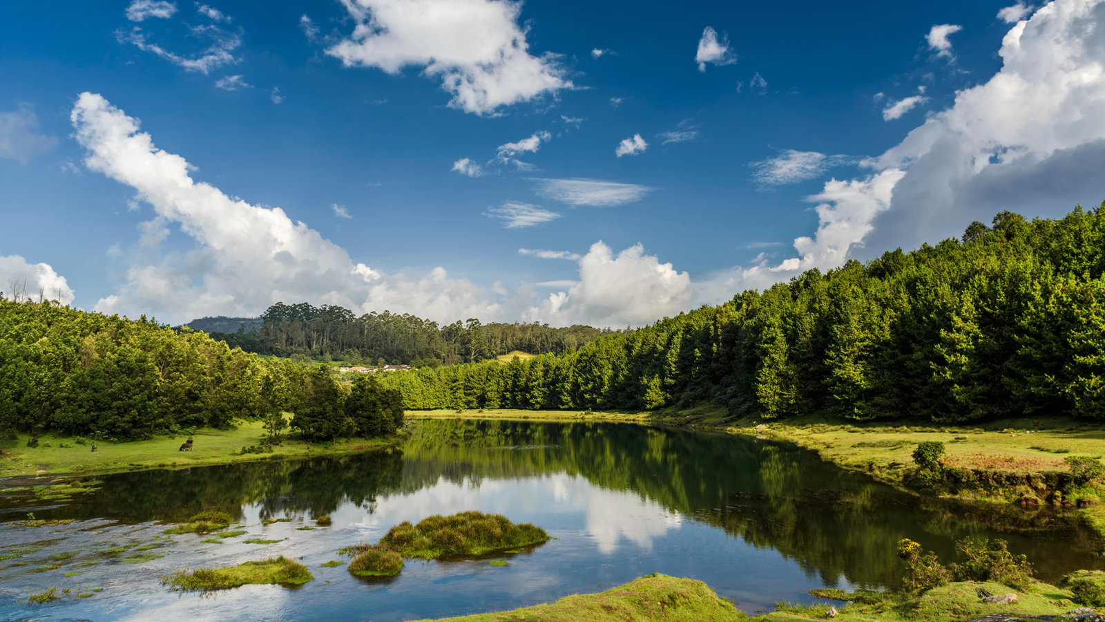 20 Best Places to Visit in Ooty: Your Ultimate Travel Guide to the Queen of Hills